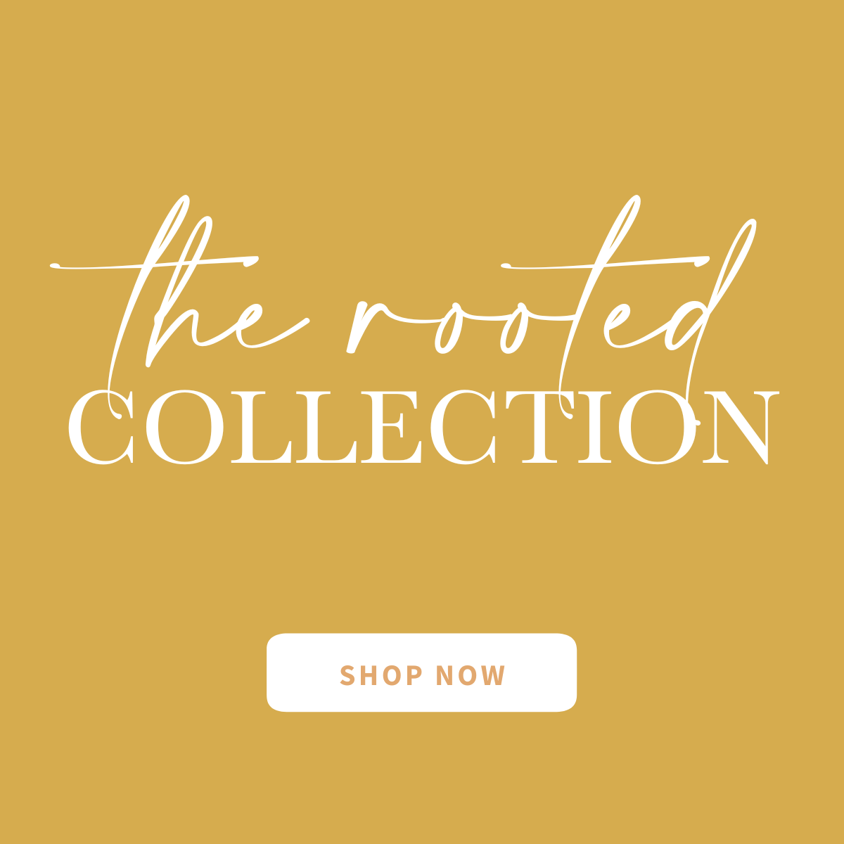 Featured image for The Rooted Collection collection
