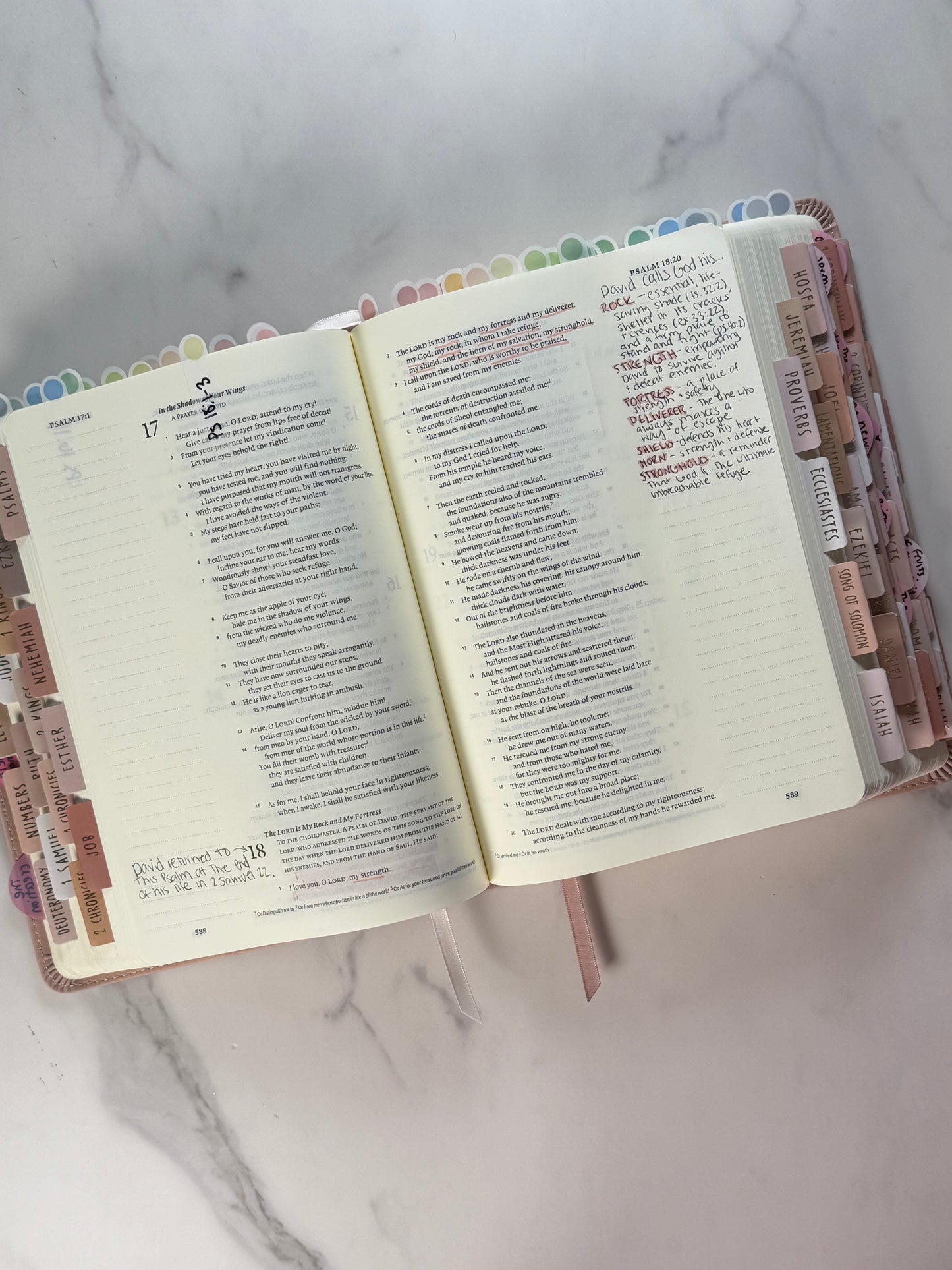 ESV Journaling Bible – Hosanna Revival “Shiloh” Edition (The Grace Collection)