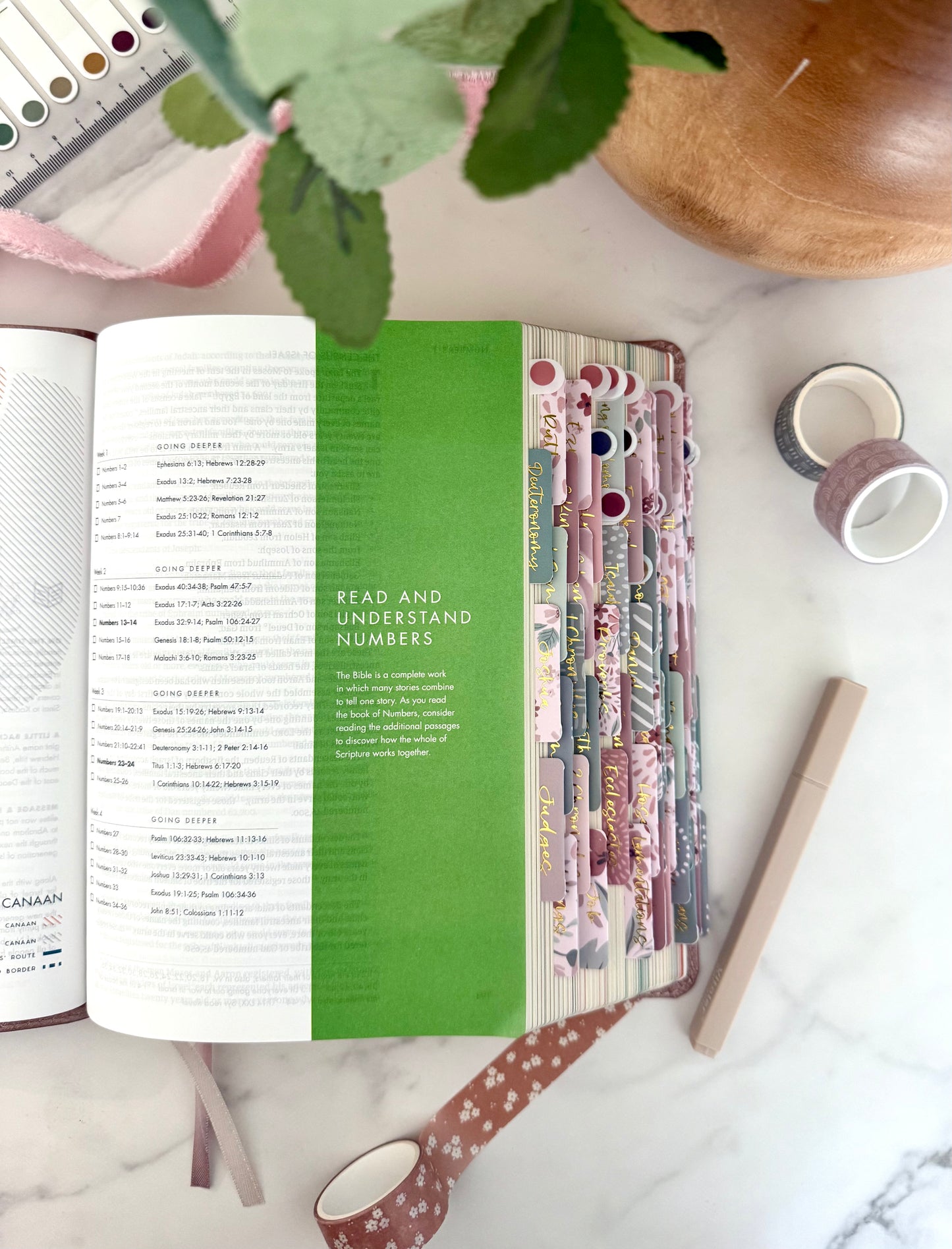 CSB She Reads Truth Bible in Rose Gold (the Grace Collection)