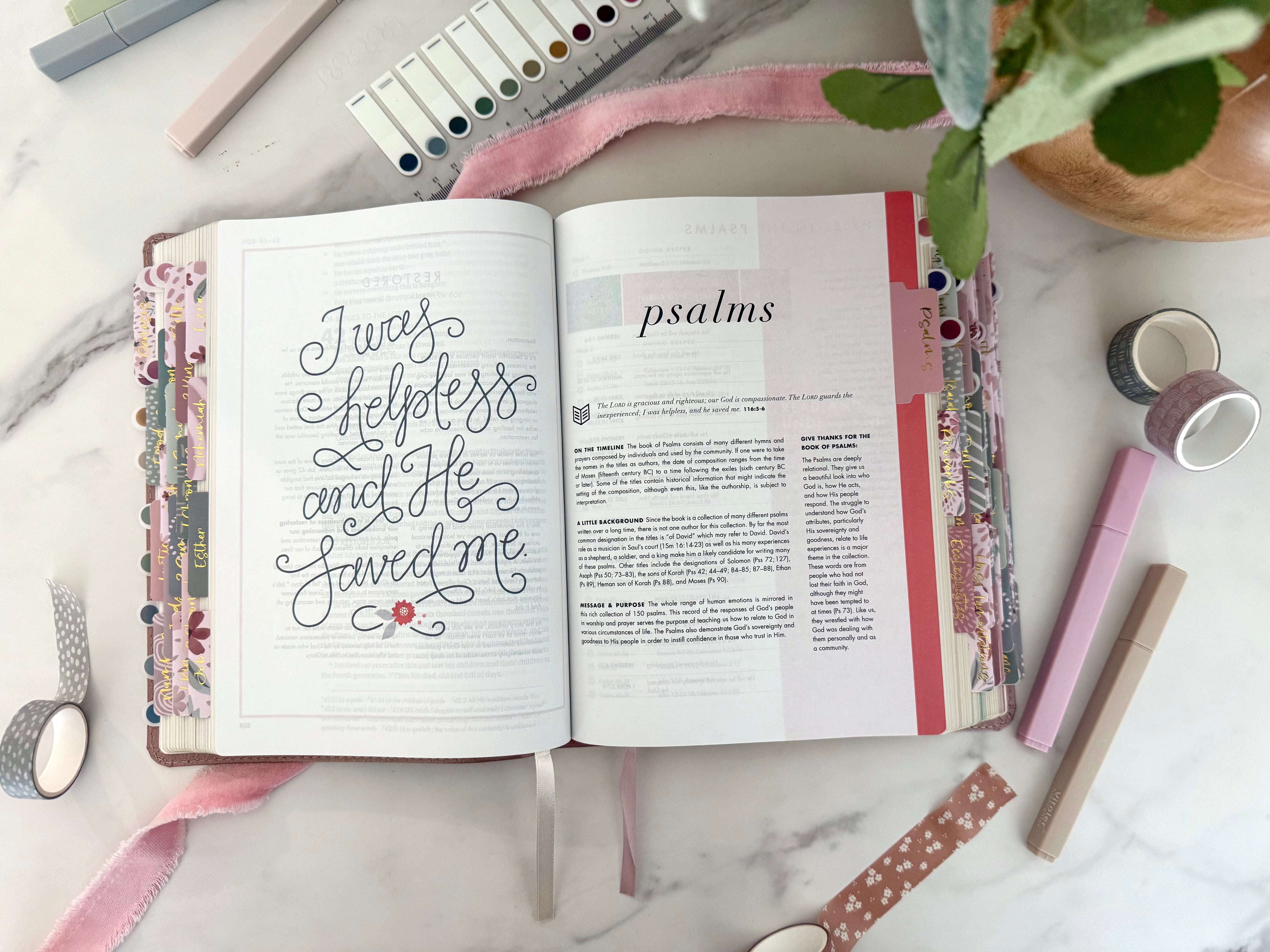 files/Shereadstruthbiblewithextras.heic