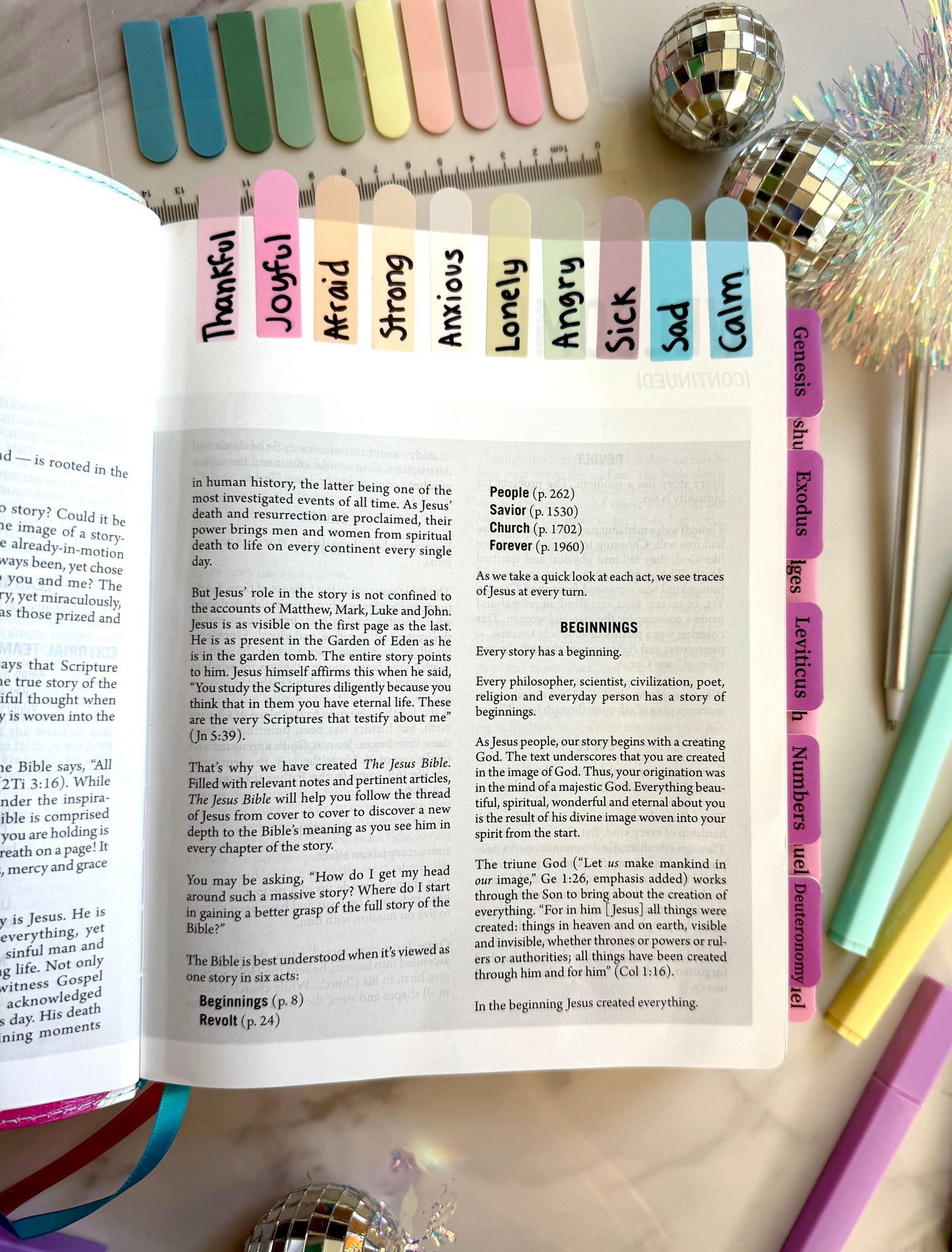 NIV The Jesus Bible (The Joy Collection)