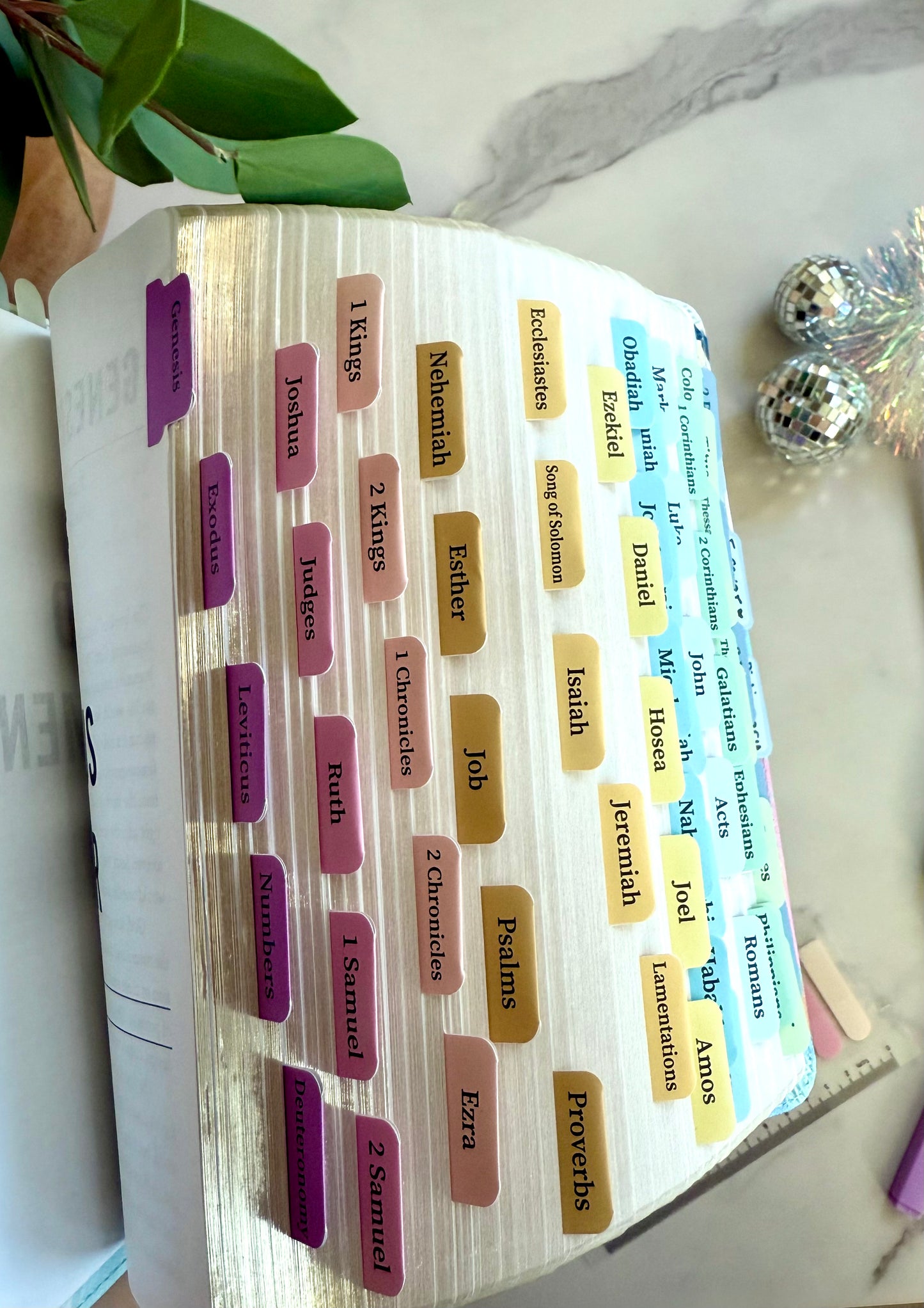 NIV The Jesus Bible (The Joy Collection)