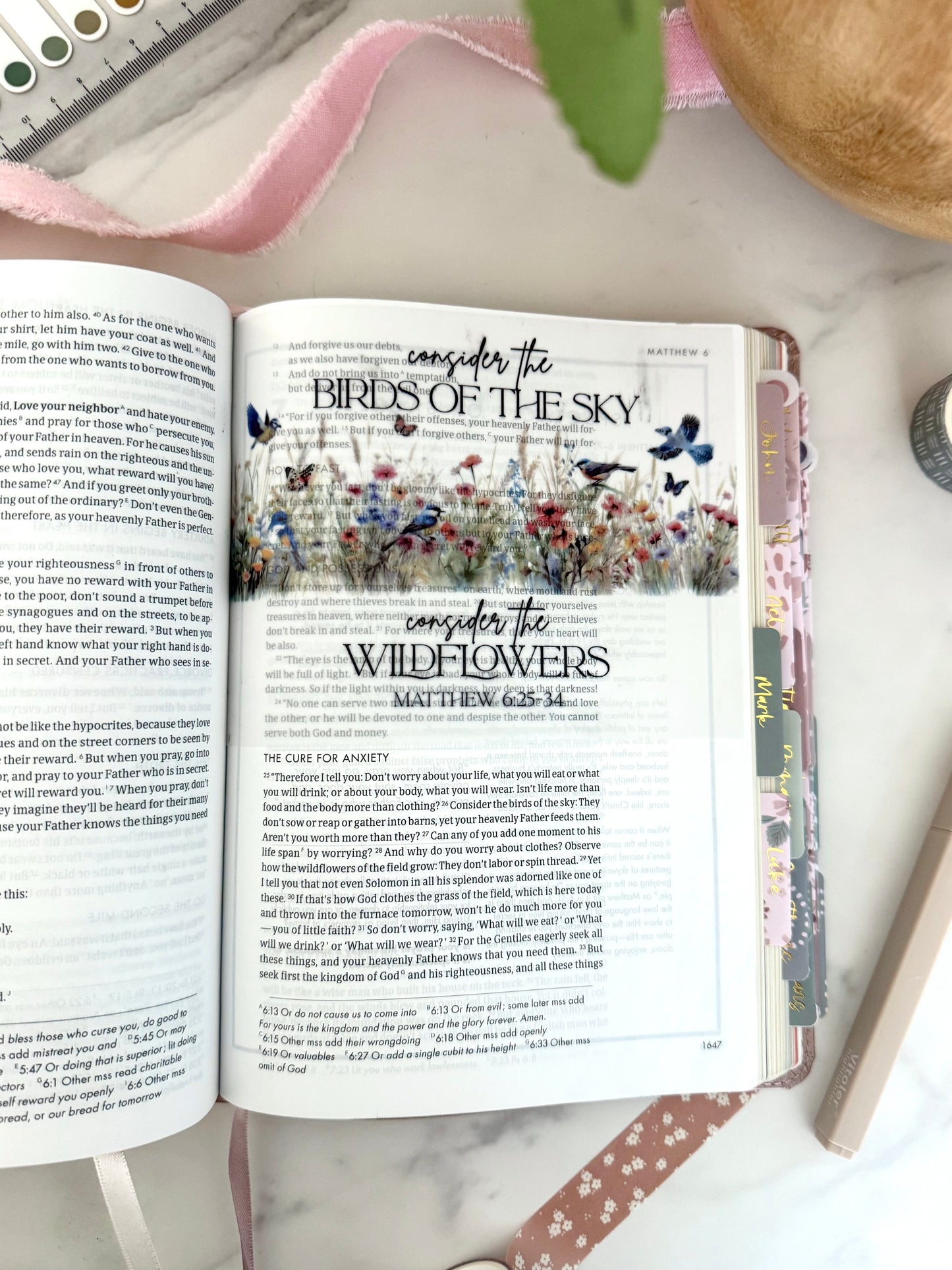 CSB She Reads Truth Bible in Rose Gold (the Grace Collection)