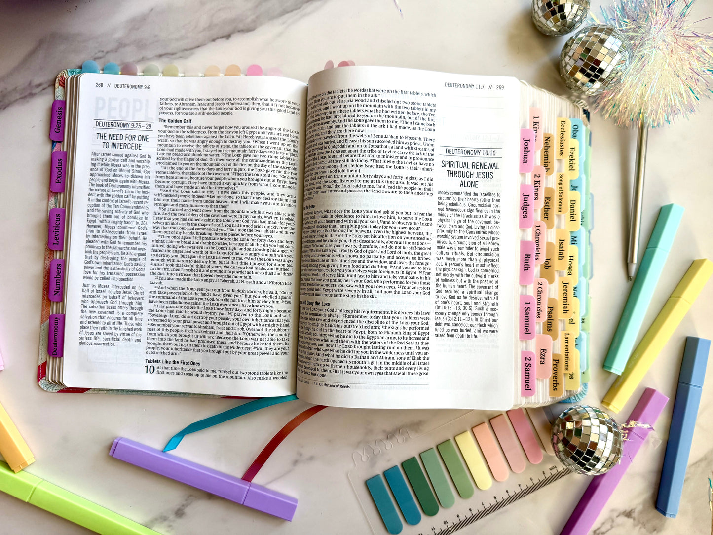 NIV The Jesus Bible (The Joy Collection)