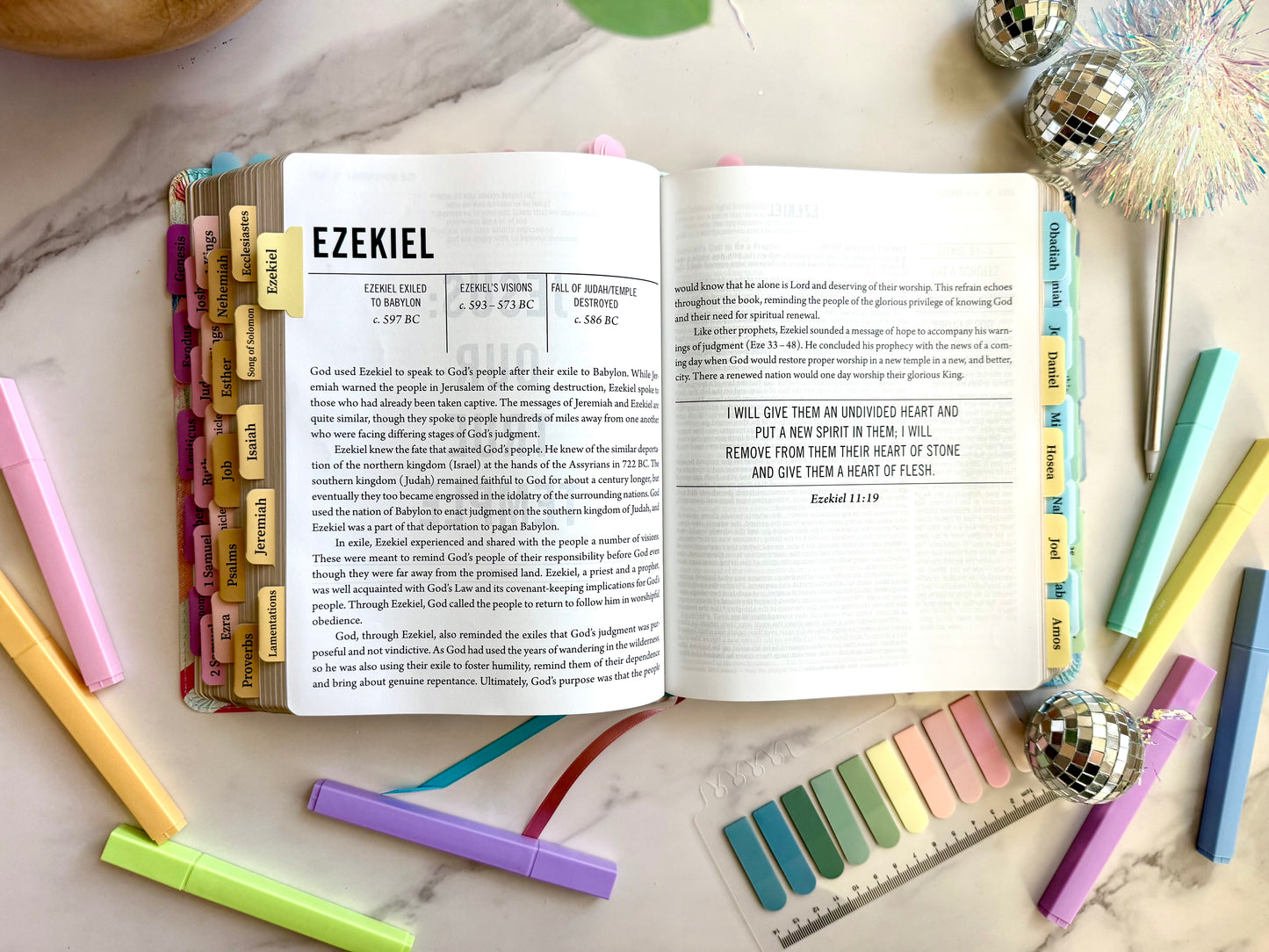 NIV The Jesus Bible (The Joy Collection)