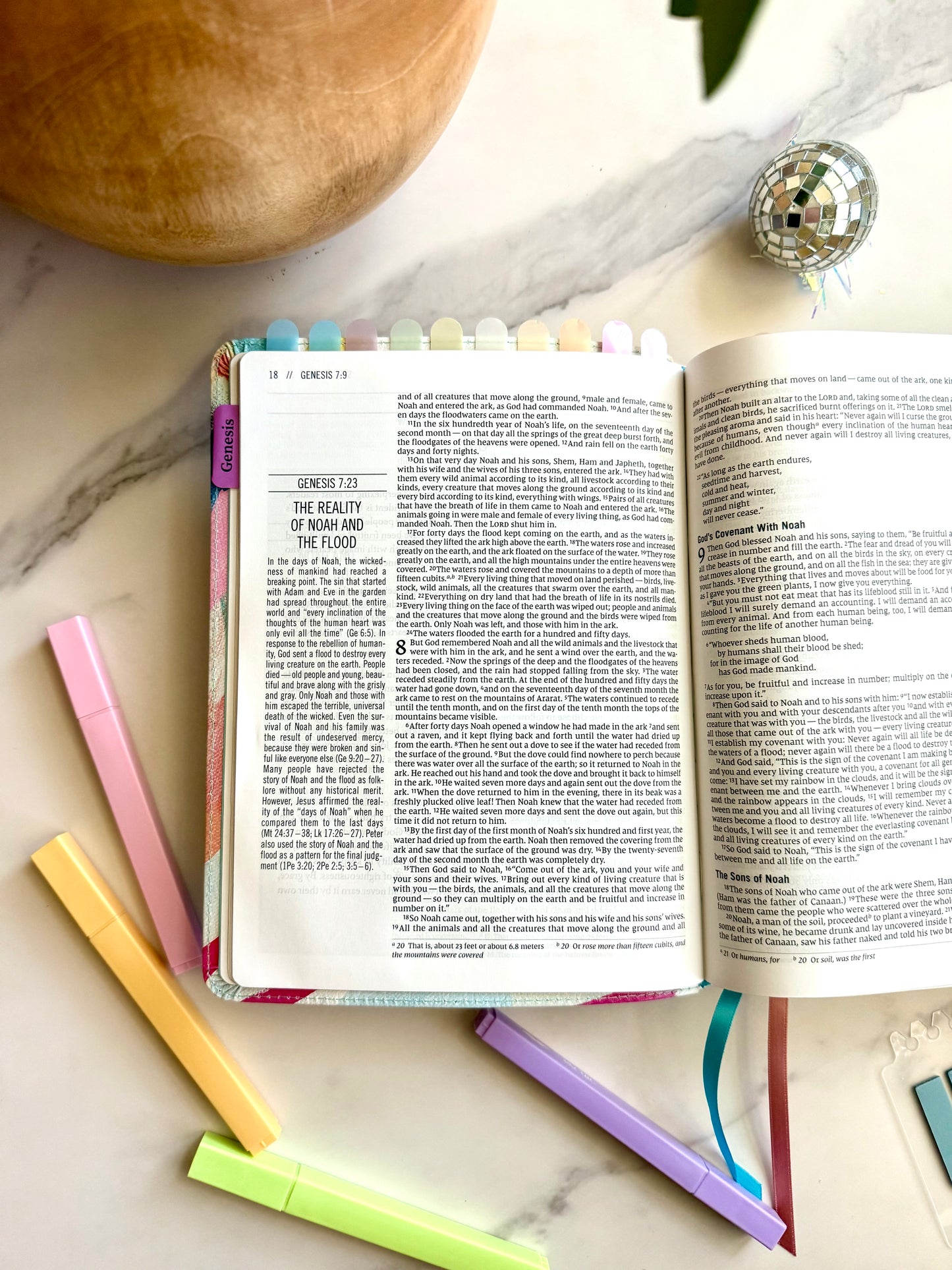 NIV The Jesus Bible (The Joy Collection)