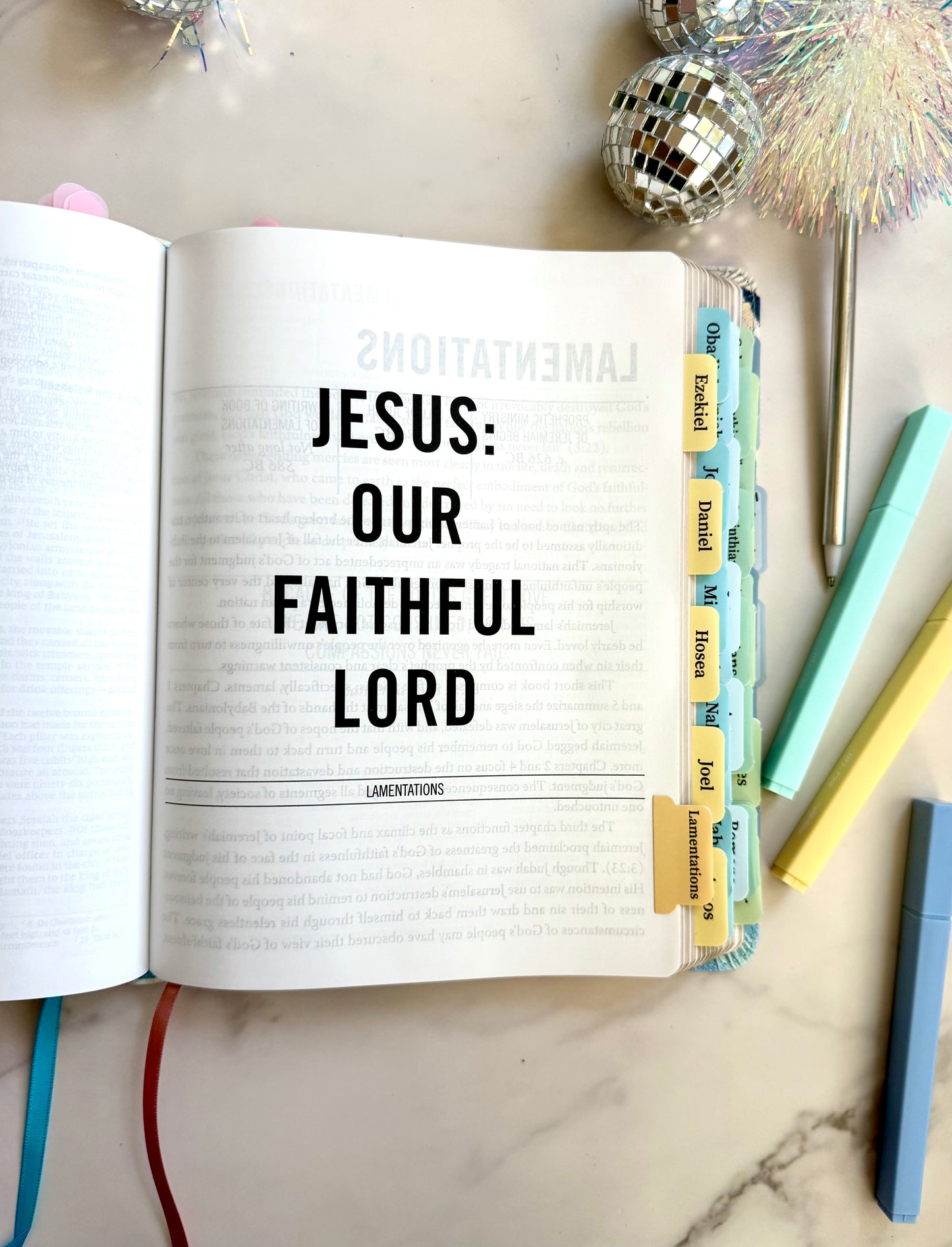 NIV The Jesus Bible (The Joy Collection)